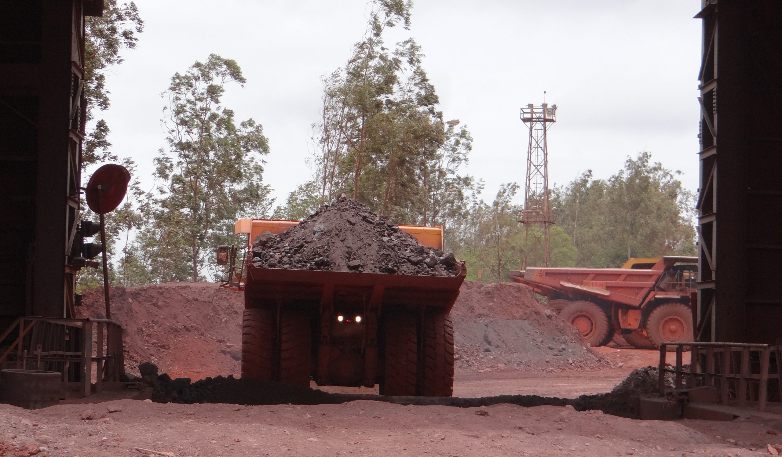 Image by Bishnu Sarangi from Pixabay