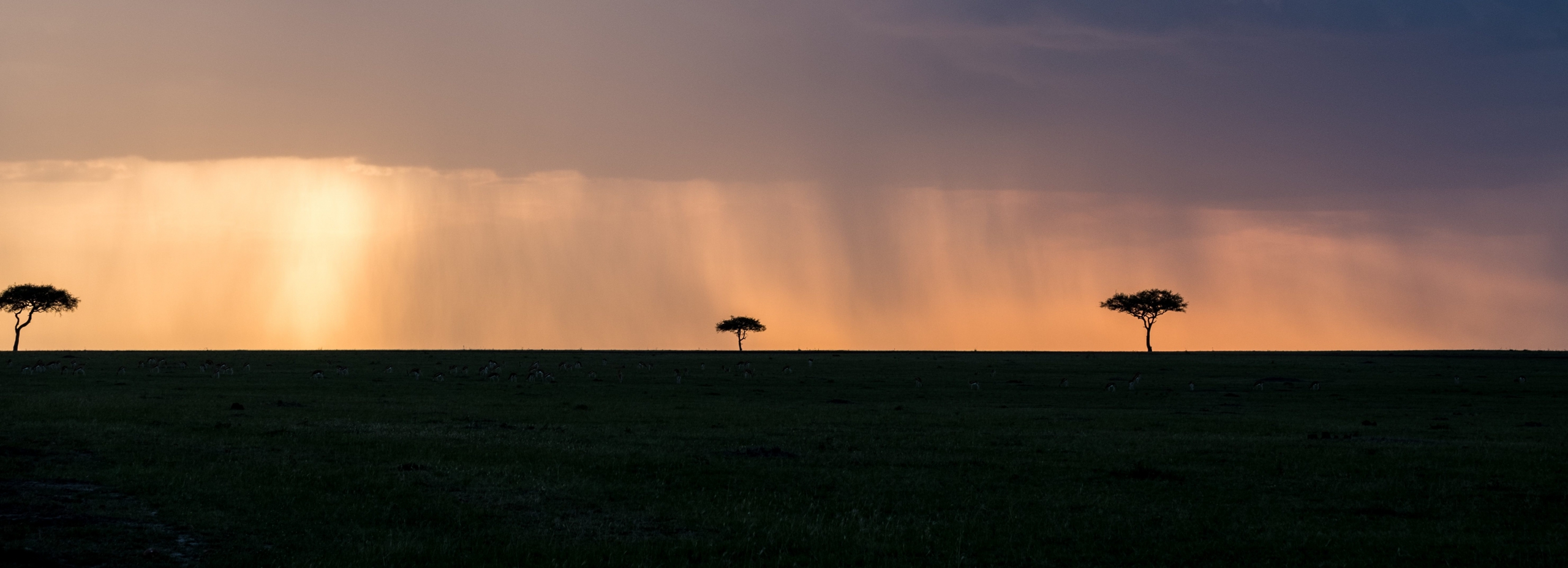 Photo by Javi Lorbada on Unsplash