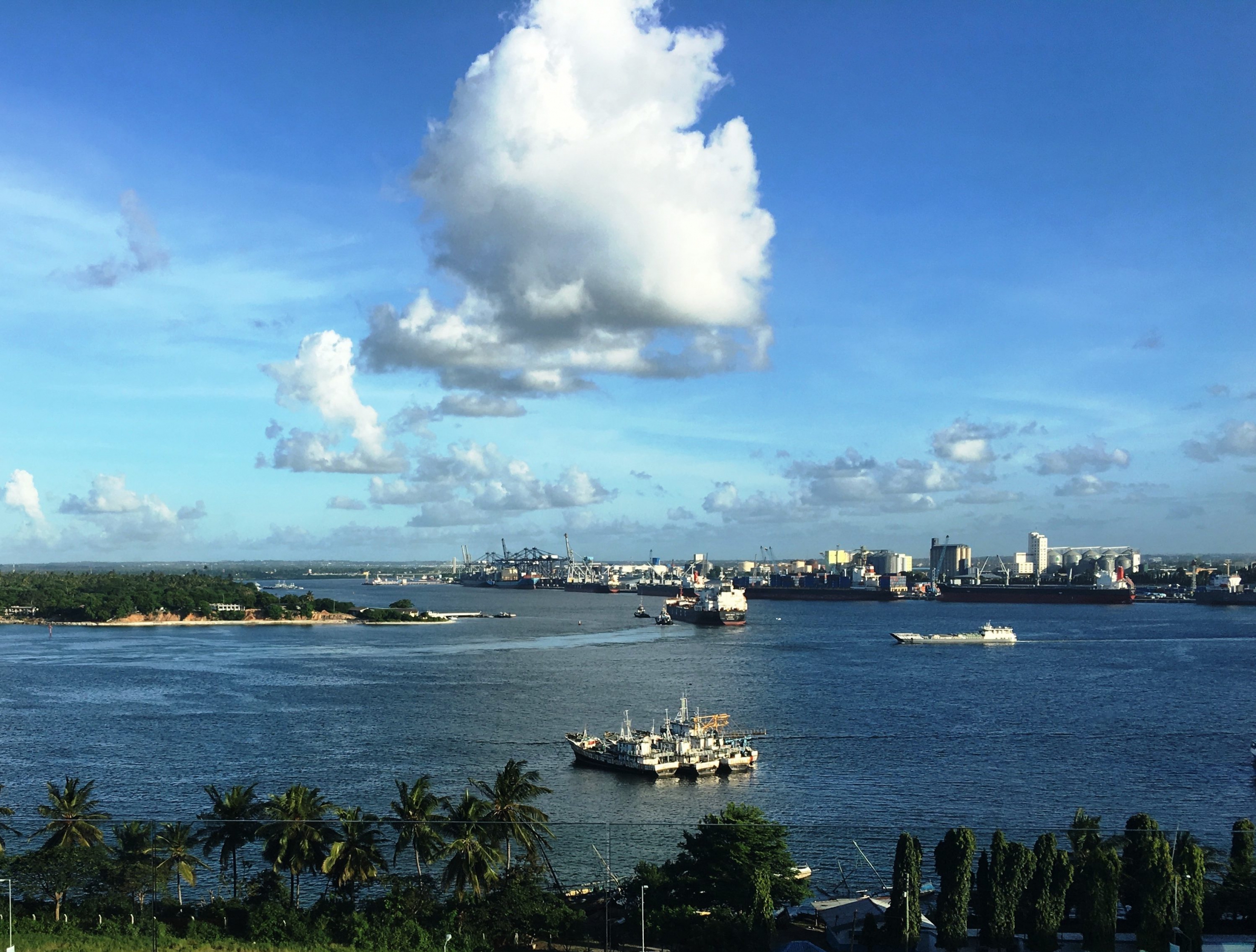 Photo by Bill Kasman on Pixabay